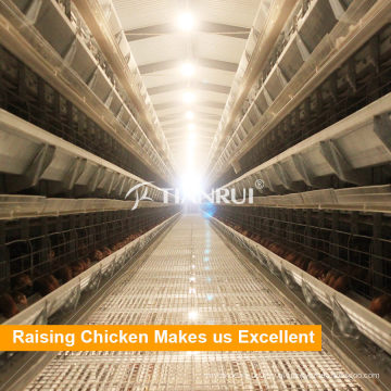 China fabrica gaiolas de venda automática de aves de capoeira para frango ovo